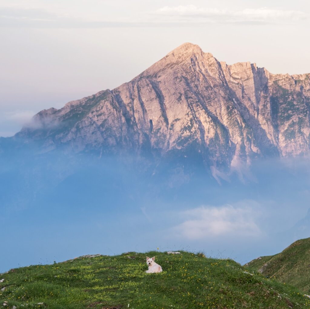 Beautiful sunrise in the mountains
