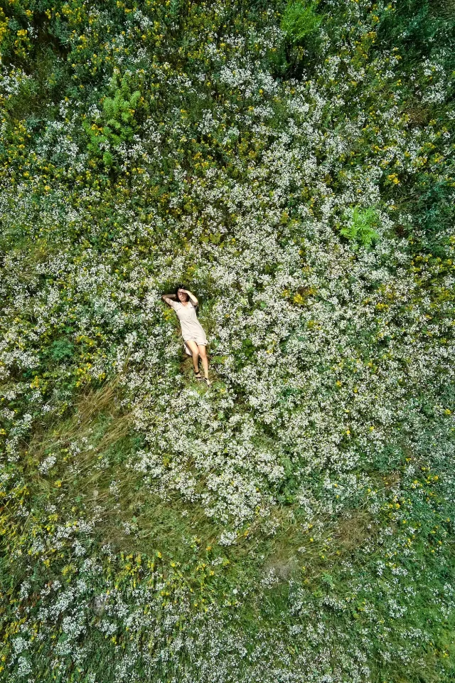 drone-aerial-view-of-relax-woman-in-dress-lying-on-2025-01-08-23-04-36-utc
