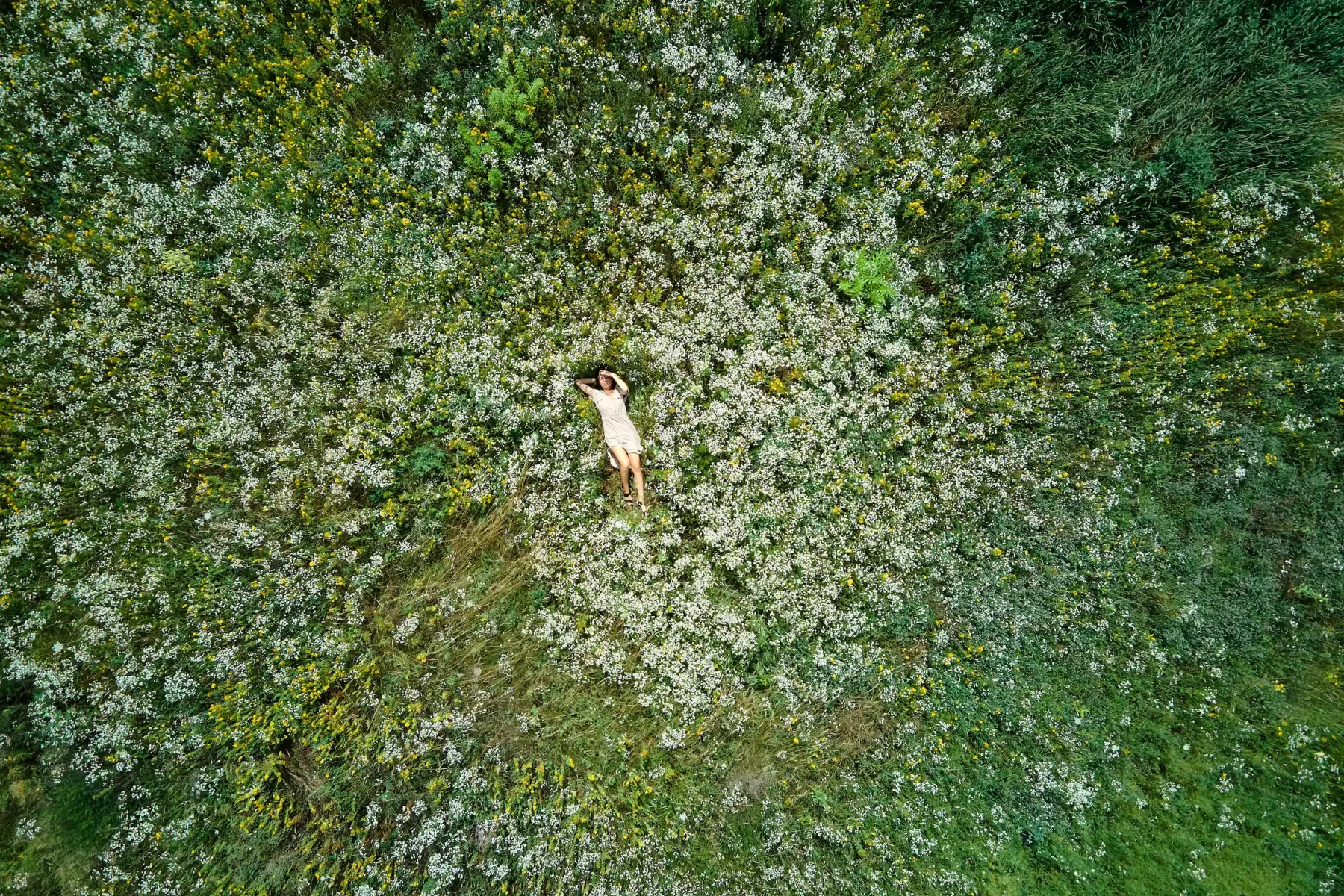 drone-aerial-view-of-relax-woman-in-dress-lying-on-2025-01-08-23-04-36-utc